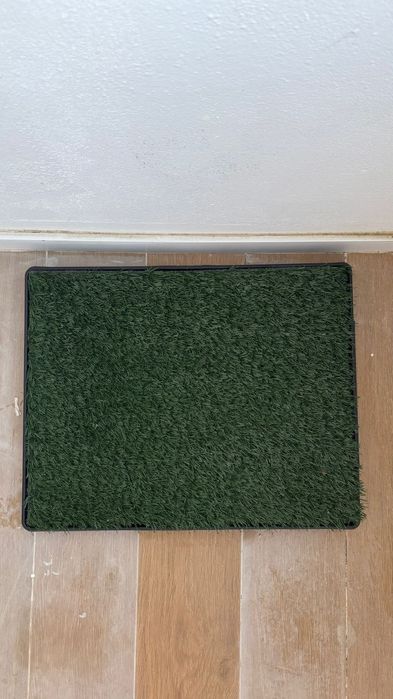Casa de banho para cachorro