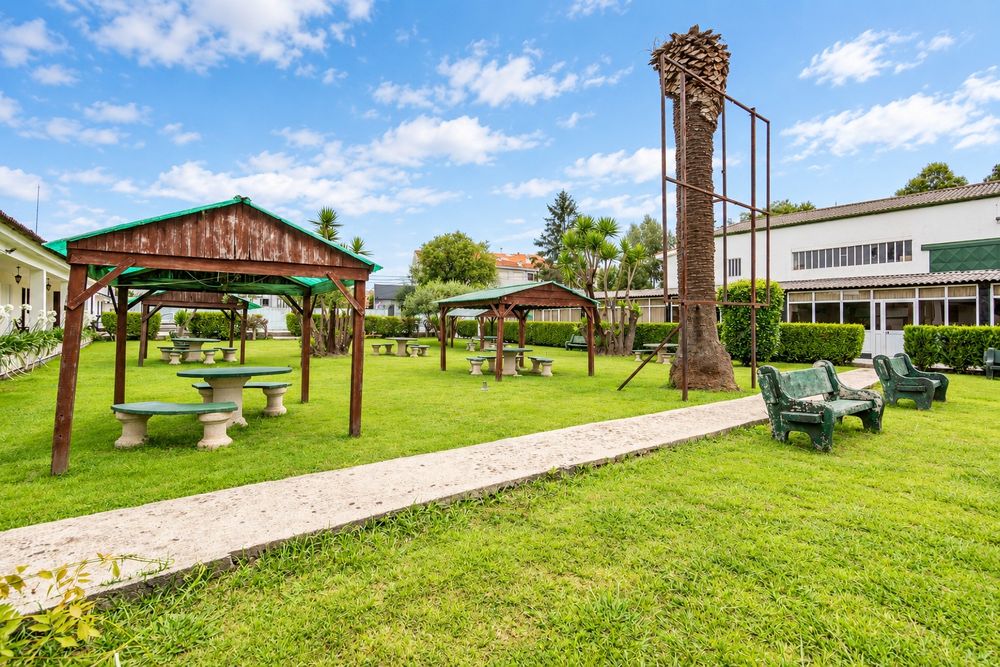 QUINTA DA RELVA | 4.600 M² | Santa Maria de Lamas