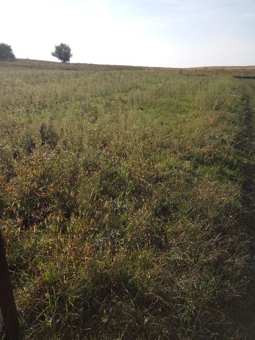 Продається ділянка під забудову в Оженніно 10 соток