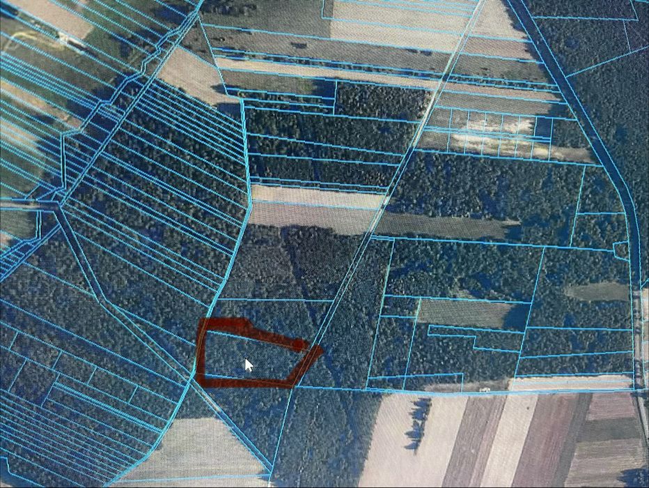 REZERWACJA Sprzedam las sosnowy