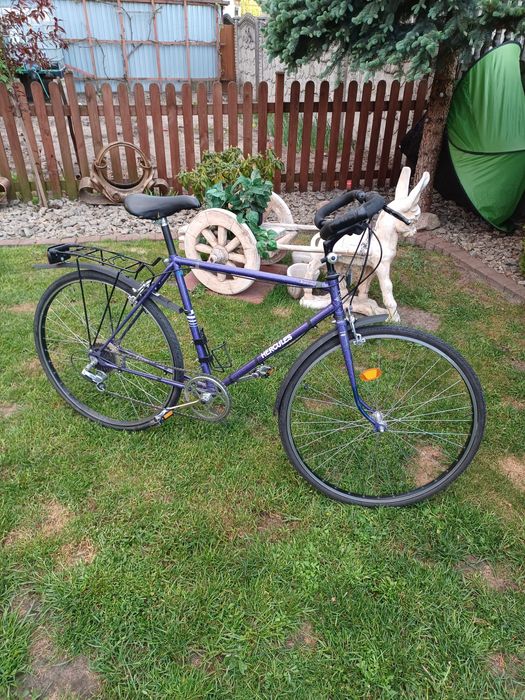 Rower meski Hercules
