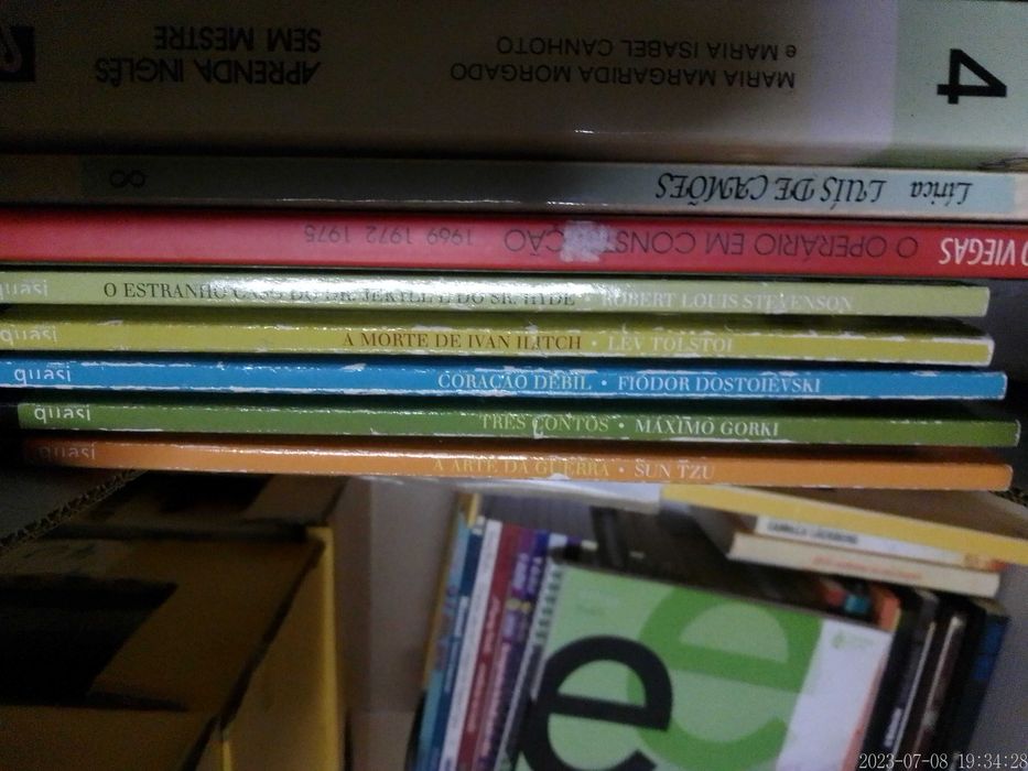 LOTE 72 + 73 - LIVROS Diversos - Vendidos EM SEPARADO - Preços Vários