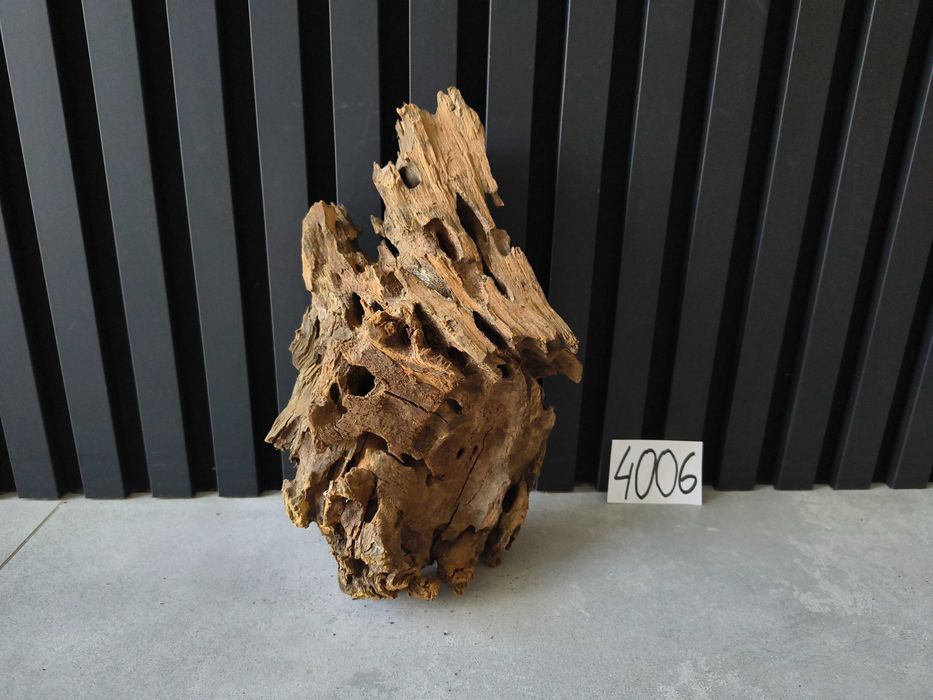 korzeń Driftwood Dragonwood 4006 DZIURAWY akwarium terrarium 29x18x12