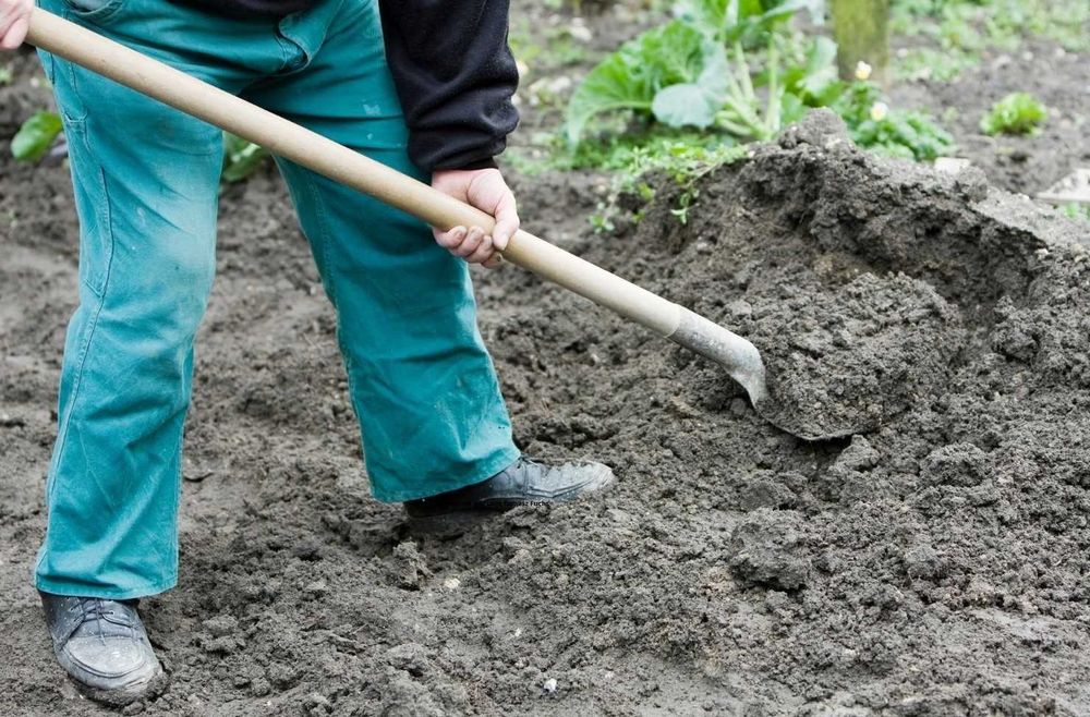 Przesiewana ziemia ogrodowa zakładanie trawników trawy dowóz gratis