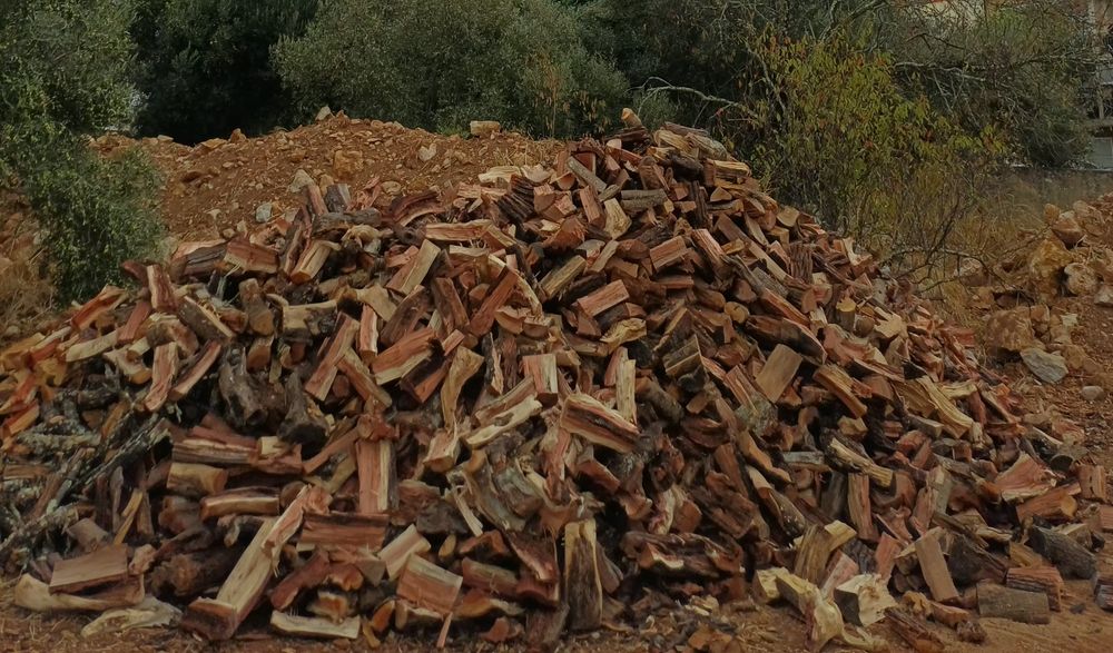 Lenha seca qualidade