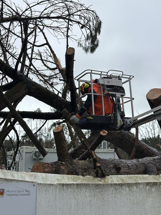 corte de arvores dificeis arborista /jardins/ limpeza terrenos
