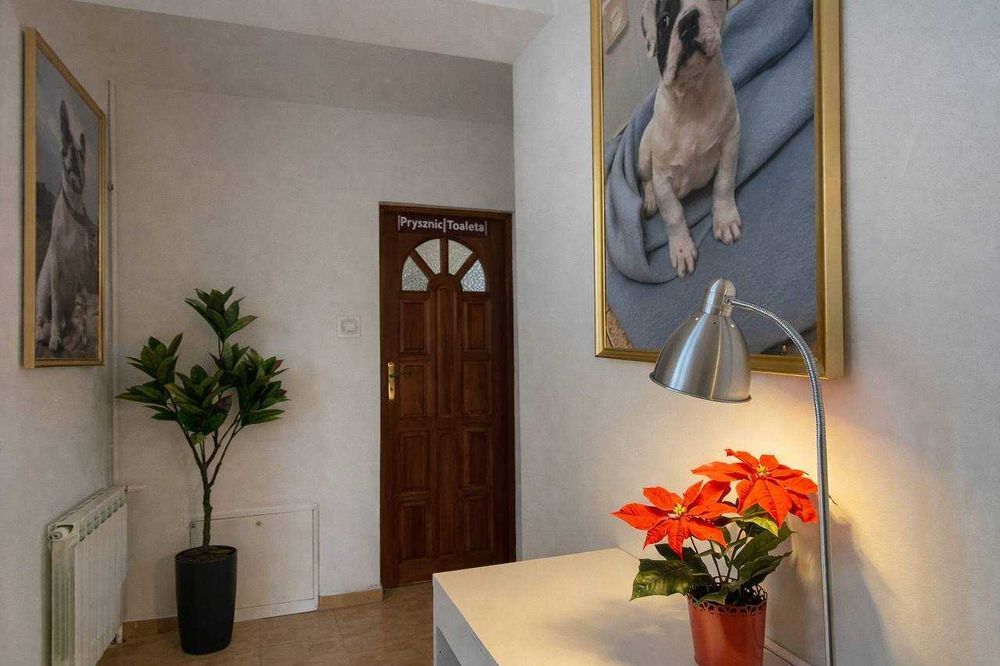 250 злотых неделя-Новый хостел в Варшаве Hostel Warszawa Влохи Бемово