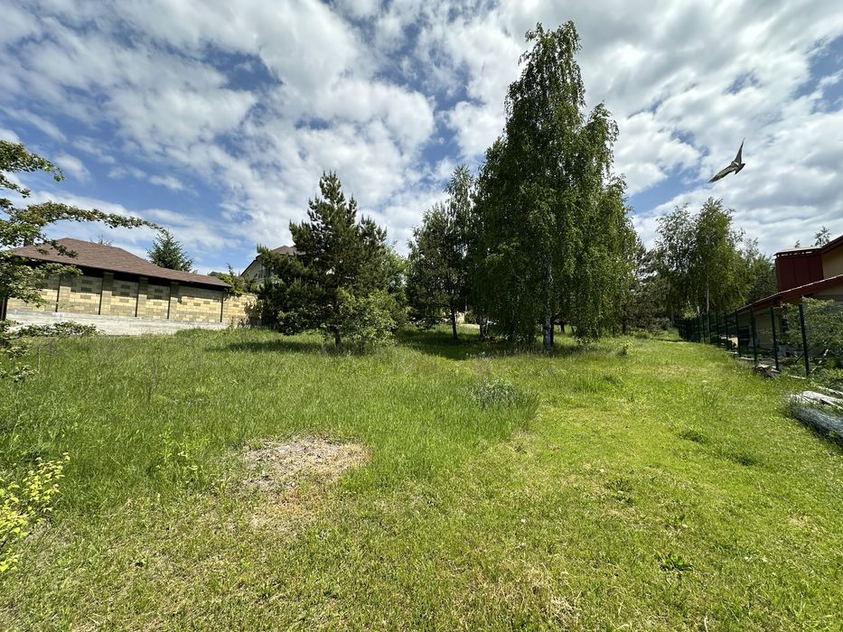 Віта-Поштова ділянка 2.1 Га, біля заповідника, ліс, сосни, комунікаціі