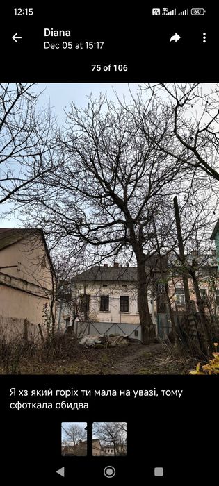 Подарую. Самовивіз.Самозріз.