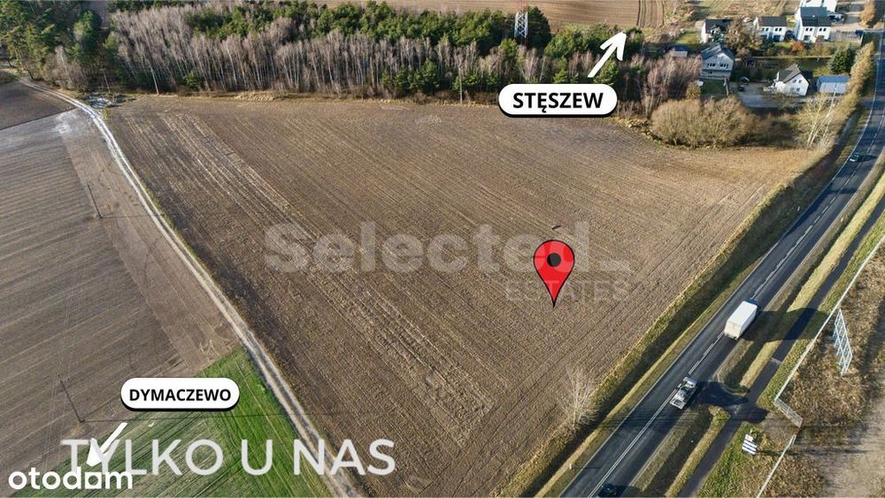Zdjęcie 5