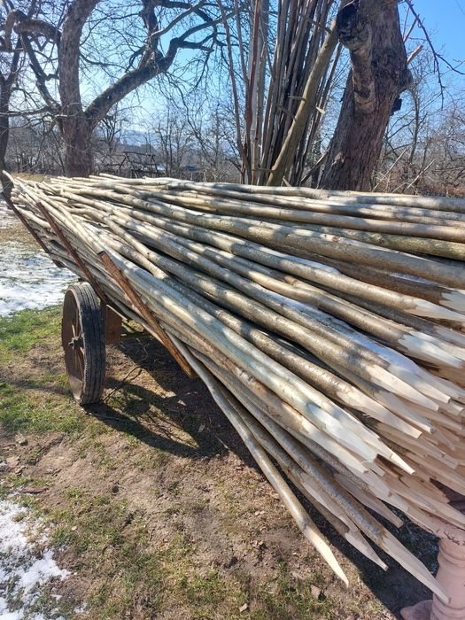 Тички для квасолі і помідорів