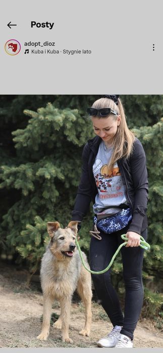 Do adopcji samiec 15kg bardzo przyjazny kontaktowy