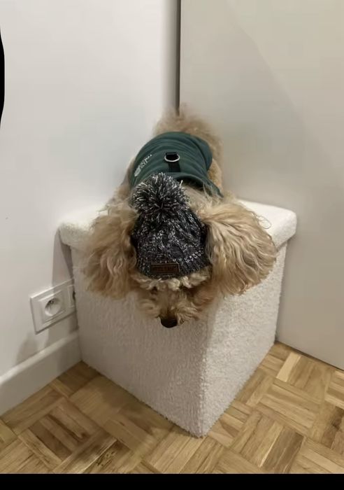 Шапка для собаки