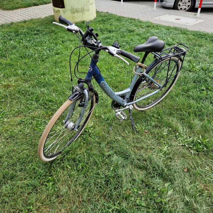 Rower damski Giant Zielona Góra • OLX.pl