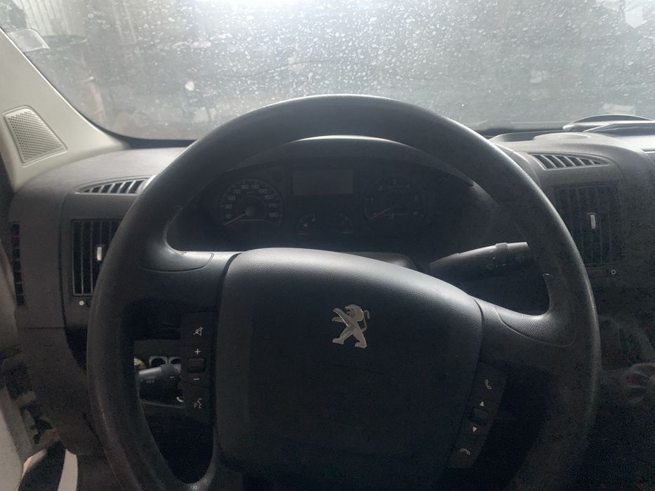 Peugeot Boxer Maxi XXL, коневоз