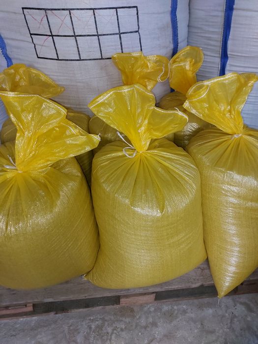 Pszenica  jara i ozima.