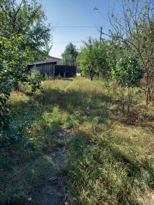 Ділянка та дерев'яний будинок в селі