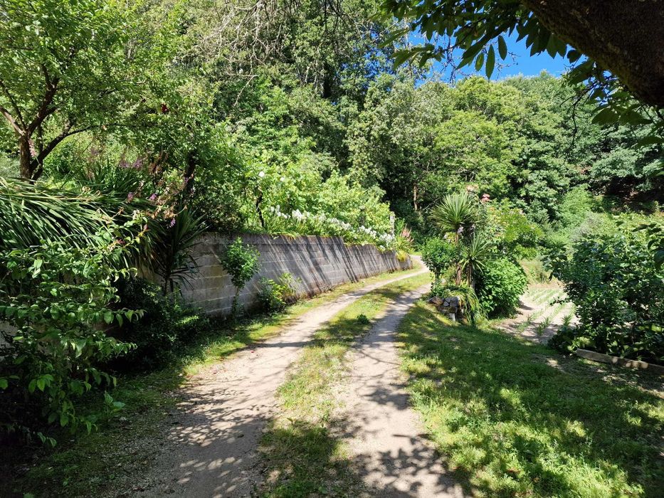 Quintinha com Árvores de fruto e Água