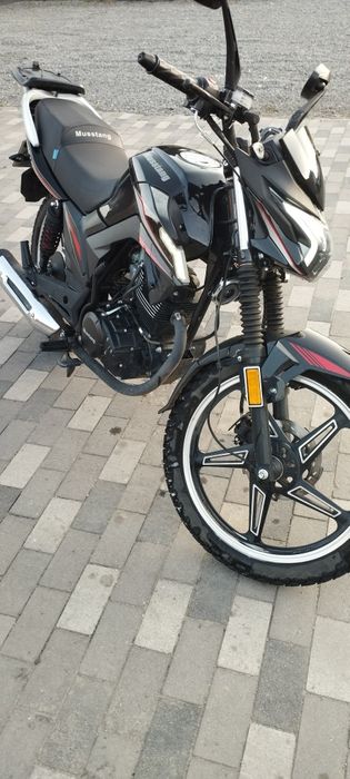 Продам Musstang Fortuna 200
