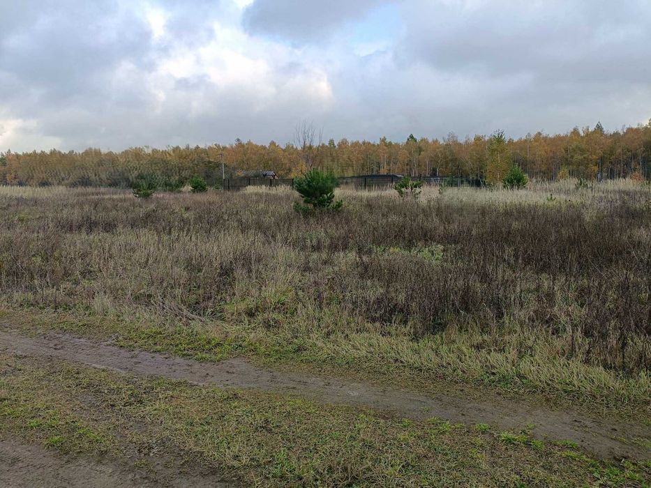 Działka w Wymysłowie na sprzedaż! - Widok 2