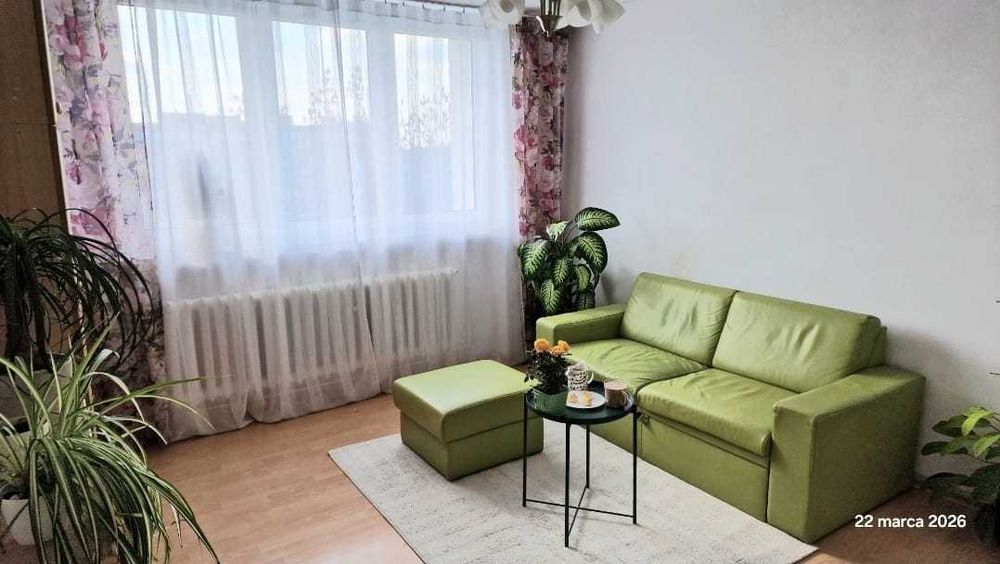 3 pokoje, jasne, obok lasu i parku. z pieknym widokiem, bez prowizji