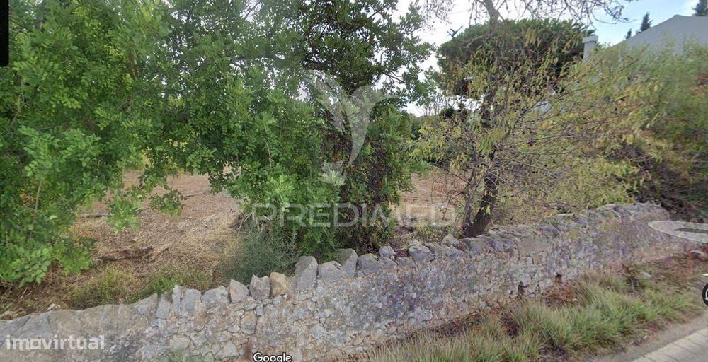 Terreno Rustico no Farrobo São Brás de Alportel