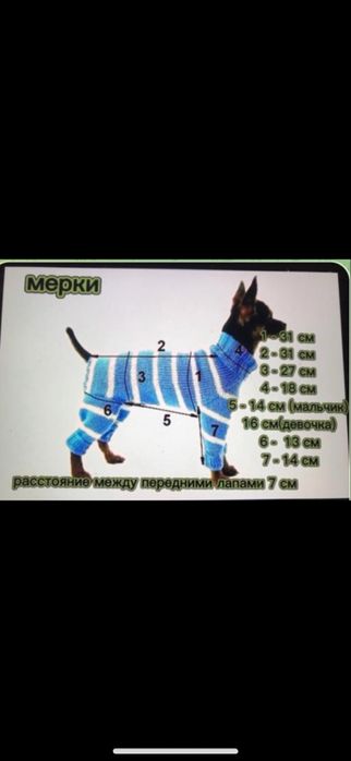 Вязаный комбинезон для собак