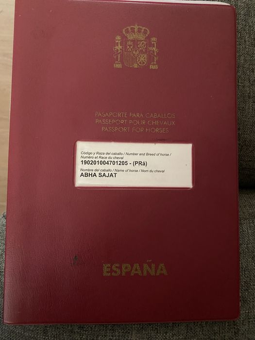 Vendo Egua PSA, Abha Sajat, castanha
