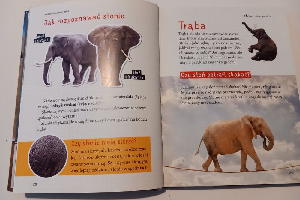 Książka 10 niesamowitych przygód Neli