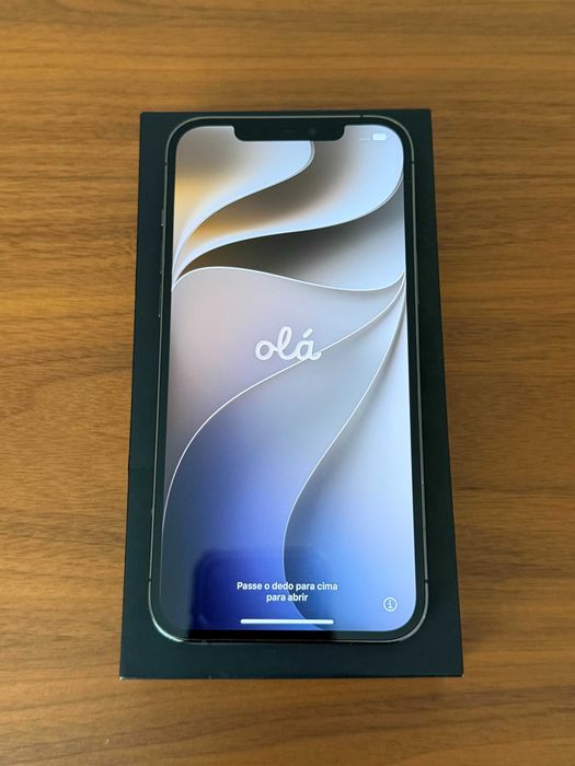 iPhone 12 Pro Max 256GB