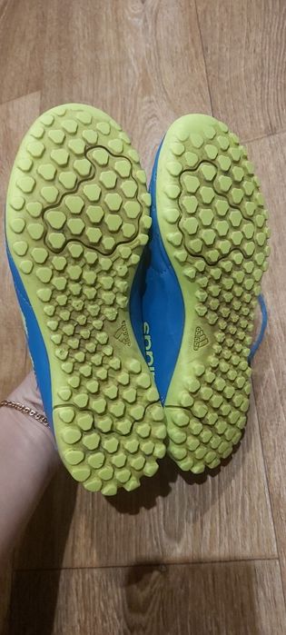 Сороконіжки 33 р