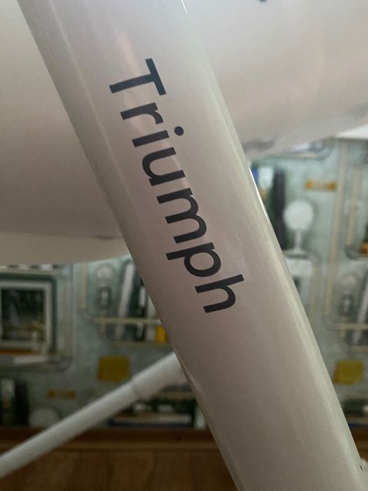 Продам дитячий стілець для годування 3в1 Carello Triumph
