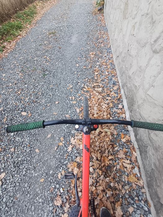 rower dirt kellys custom