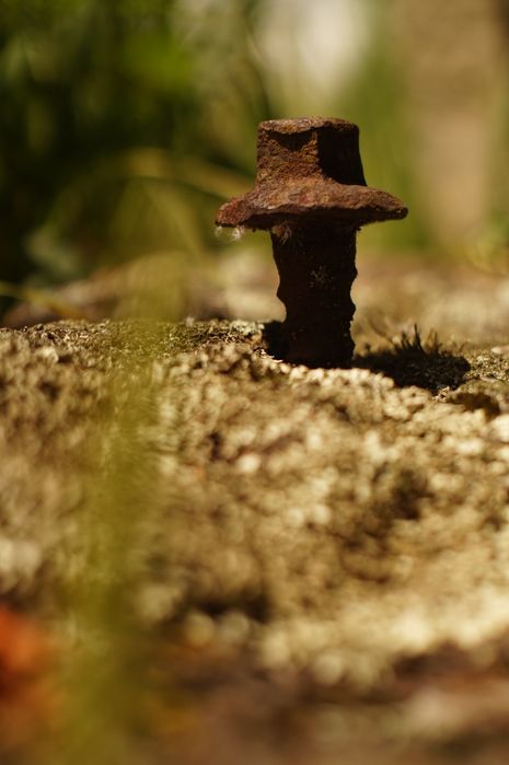 Lente vintage minolta 50mm f1.4