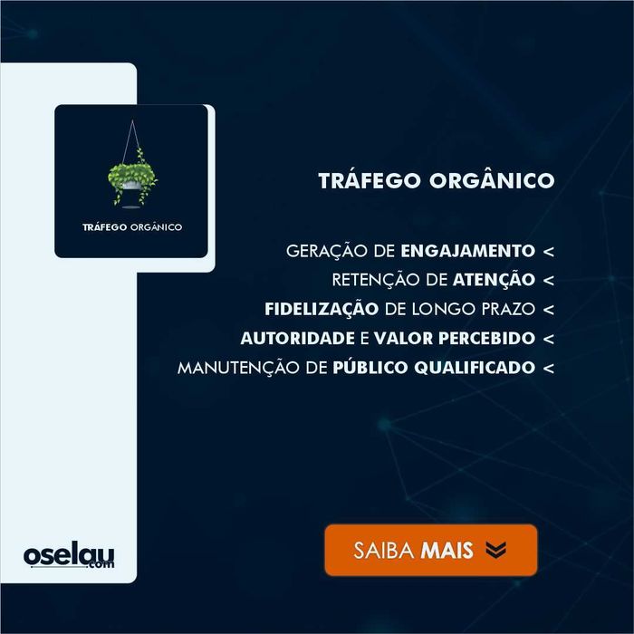Departamento de Marketing Digital Profissional - Sem os Custos de Contratar Uma Equipa Interna.