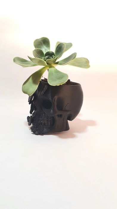 Vaso de caveira com borboletas