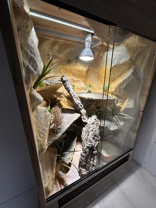 Duże terrarium 85 × 60 × 52,5 cm – kompletne wnętrze