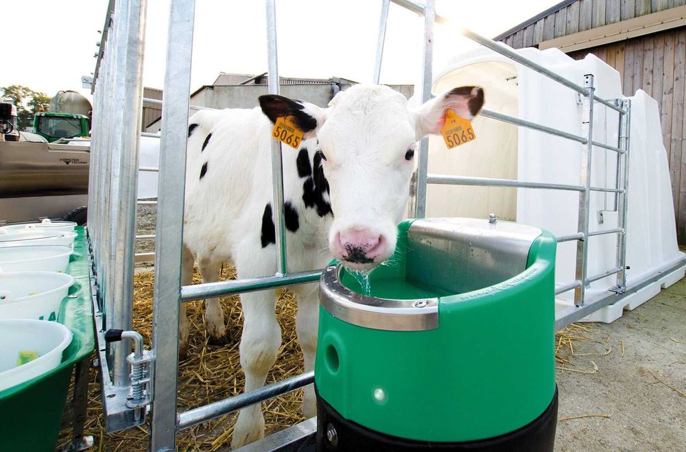 Poidło podgrzewane LAKCHO, 24 V/50 W, La Buvette