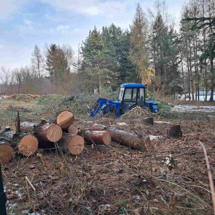Mini koparka karczowanie wycinka równanie terenu wykopy rębak