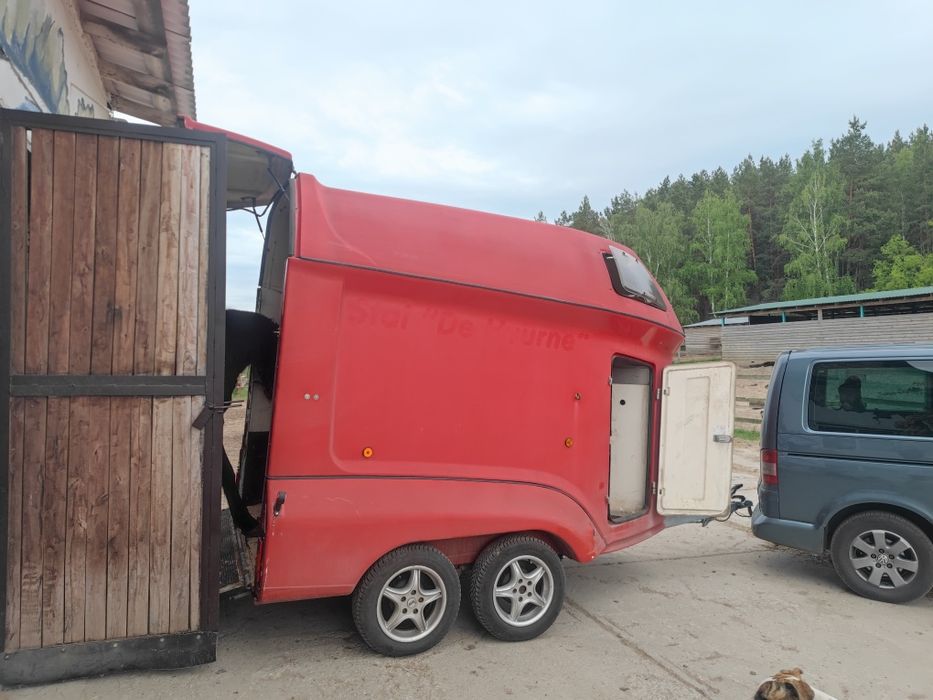 Перевезення коней, лошат, ВРХ.