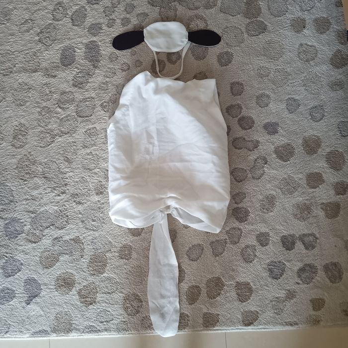 Baranek Shaun przebranie