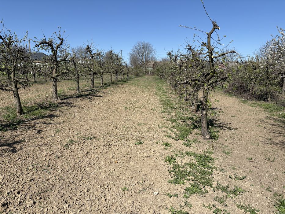 Продається земельна ділянка під будівництво, с.Громи