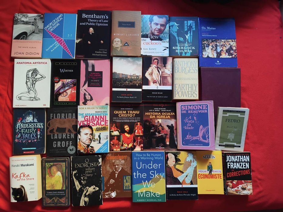 Livros diversos, filosofia, politica, sociologia, antropologia, ficção