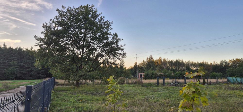 Działka Łódź 1000mkw - Ansicht 3