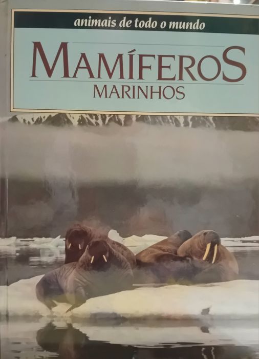 Animais de todo o mundo