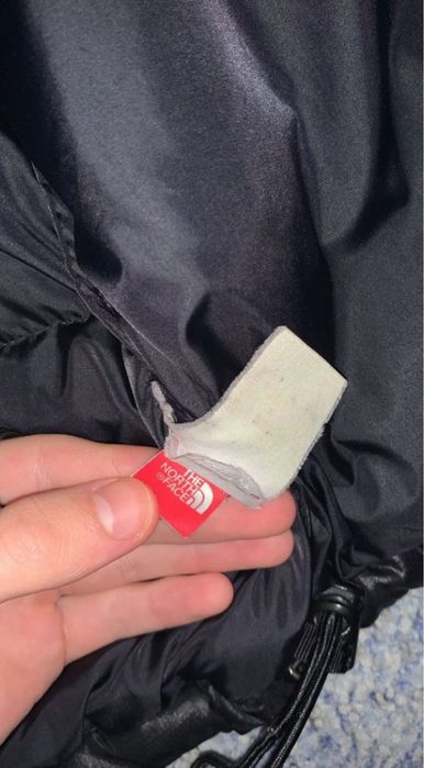 пуховик tnf