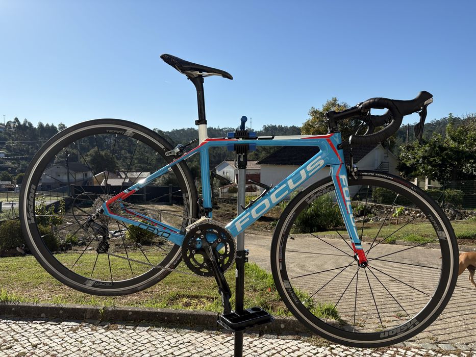 Focos Cayo Full Carbono