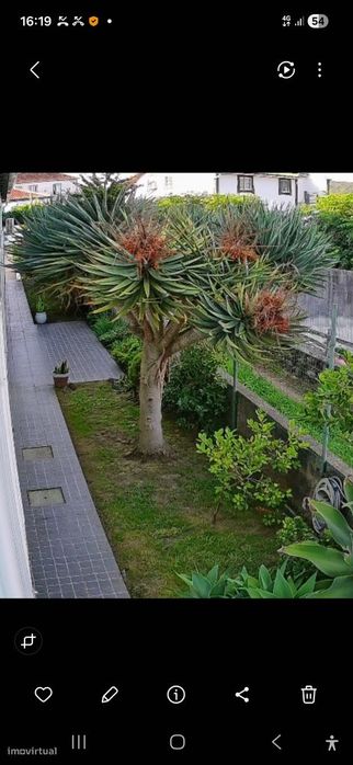 Moradia T4+1 com vista deslumbrante