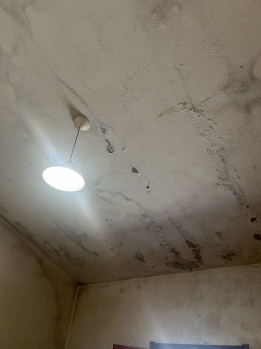 Servicos de pintura424128718800824322