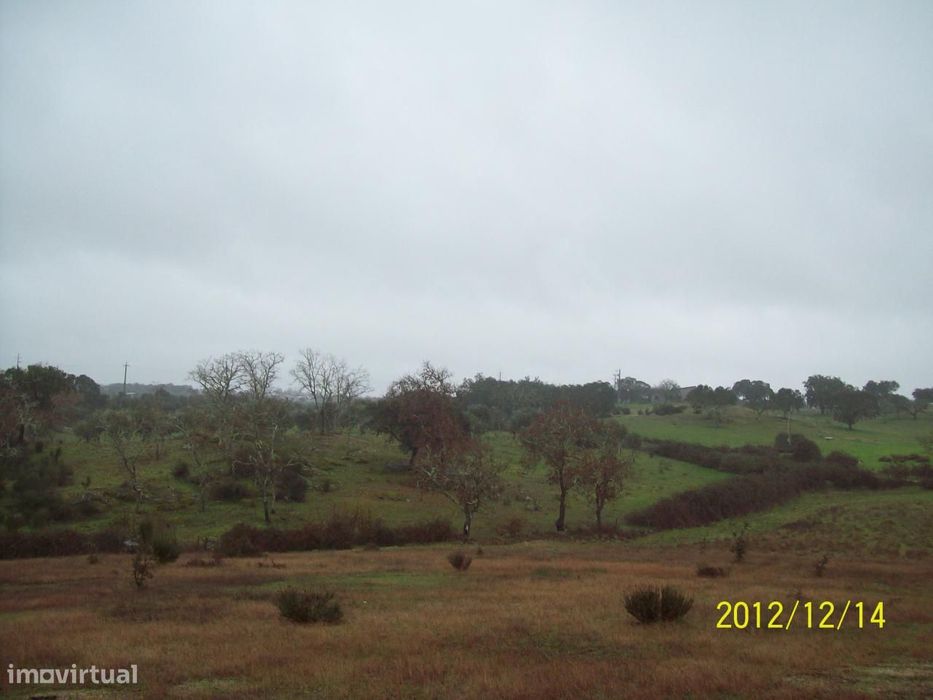 Herdade do Monte da Pedra.